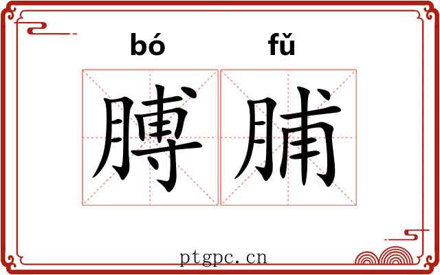 膊脯