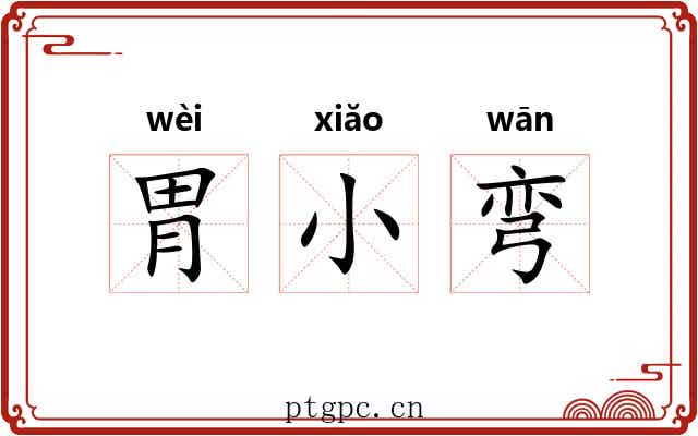 胃小弯 胃小弯