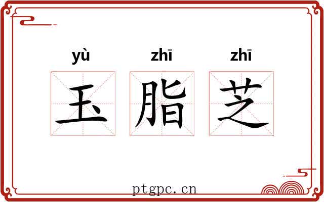 玉脂芝 玉脂芝