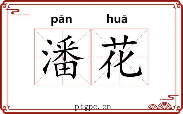 潘花 潘花