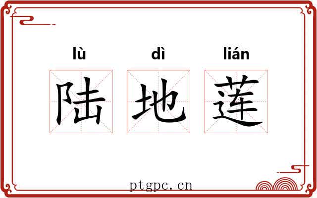 陆地莲 陆地莲