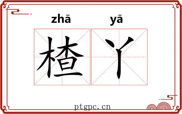 楂丫