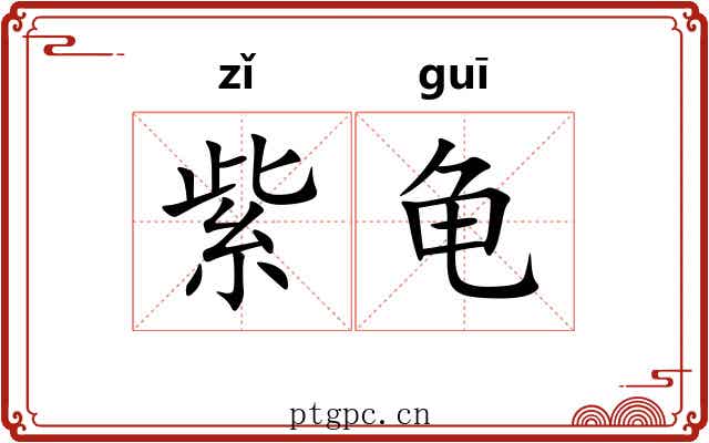紫龟 紫龟