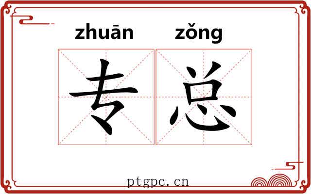 专总