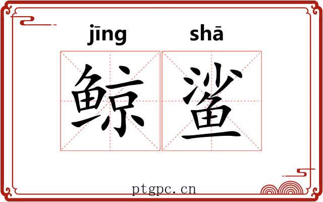 鲸鲨