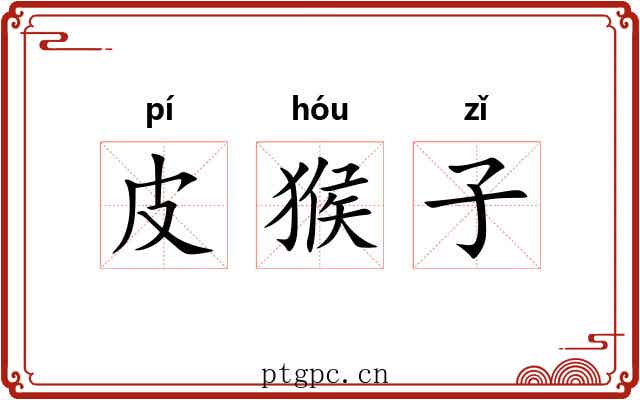 皮猴子 皮猴子