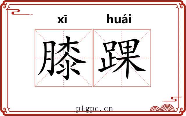 膝踝