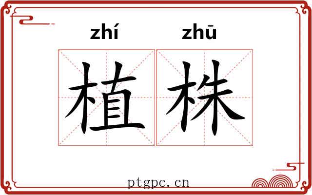 植株