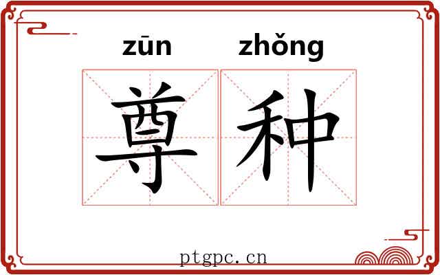 尊种 尊种