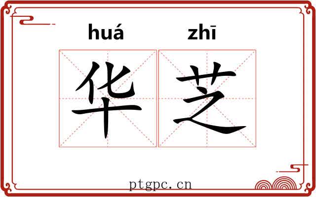 华芝 华芝