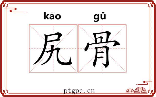尻骨 尻骨