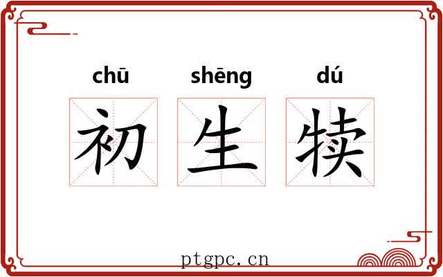 初生犊 初生犊