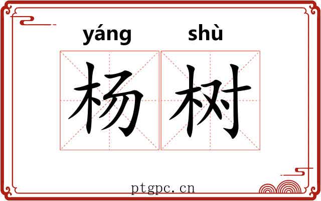 杨树