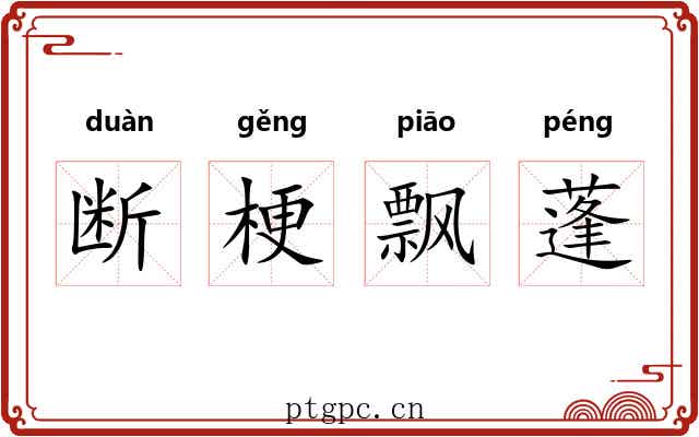 断梗飘蓬 断梗飘蓬