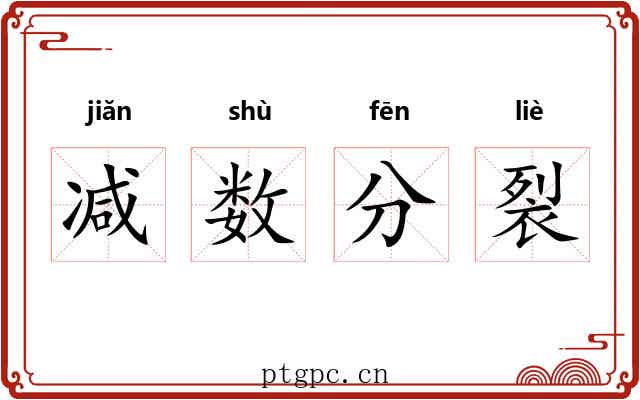 减数分裂 减数分裂