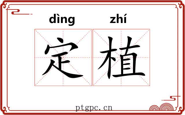 定植 定植