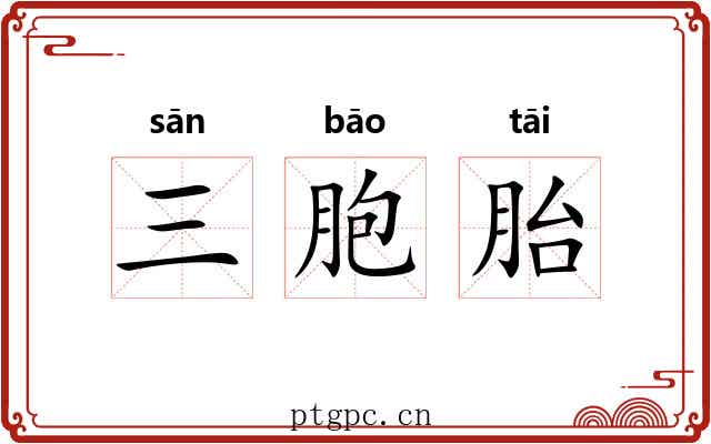 三胞胎 三胞胎