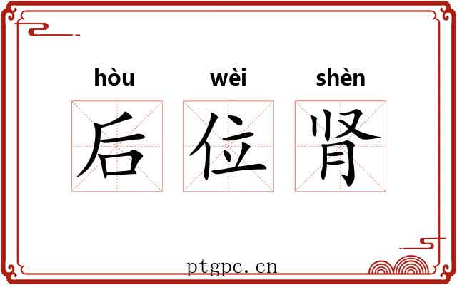 后位肾
