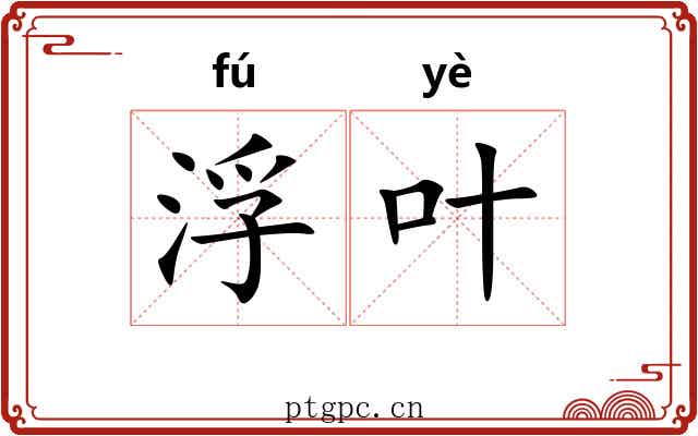 浮叶 浮叶