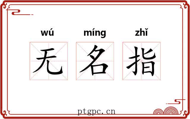 无名指
