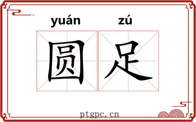 圆足 圆足