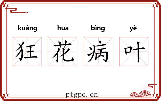 狂花病叶 狂花病叶