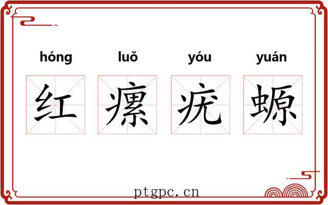 红瘰疣螈 红瘰疣螈
