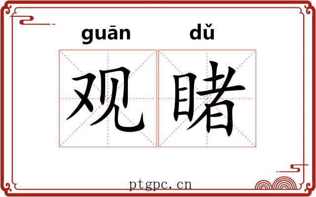 观睹