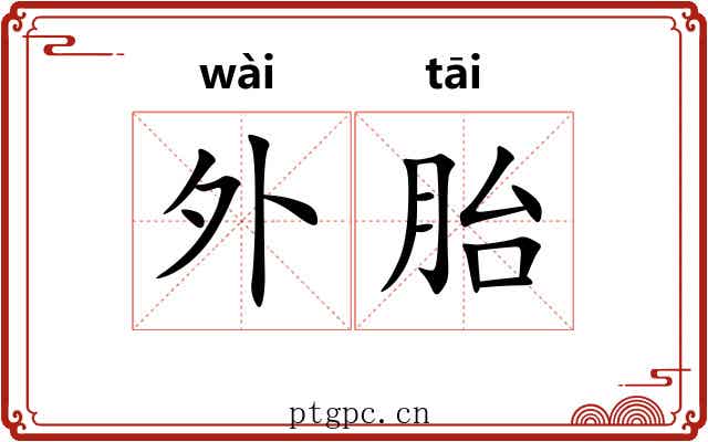 外胎 外胎