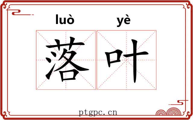 落叶 落叶