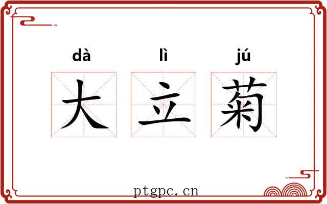 大立菊 大立菊
