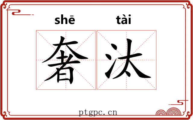 奢汰