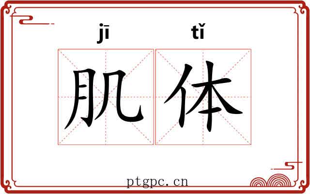 肌体
