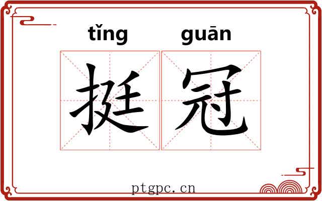挺冠