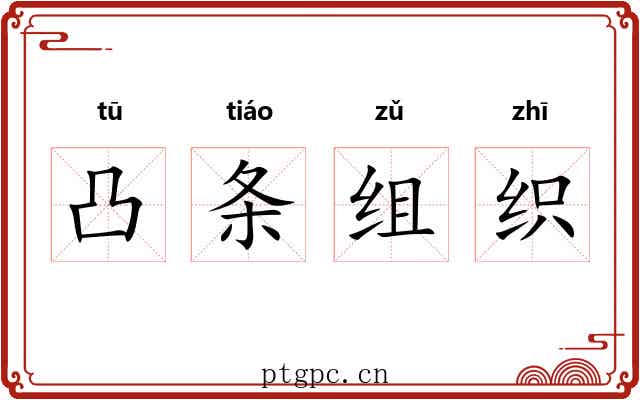 凸条组织 凸条组织