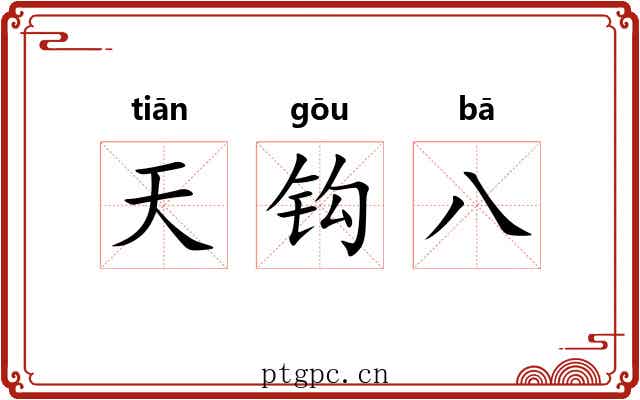 天钩八 天钩八