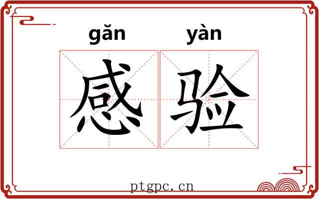 感验