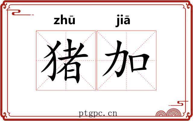 猪加