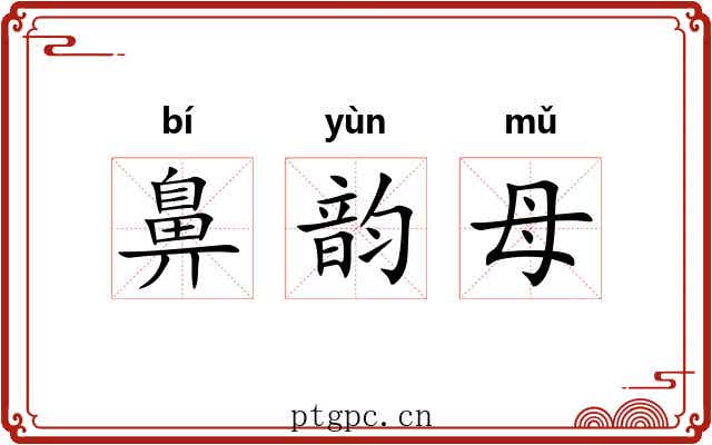 鼻韵母 鼻韵母