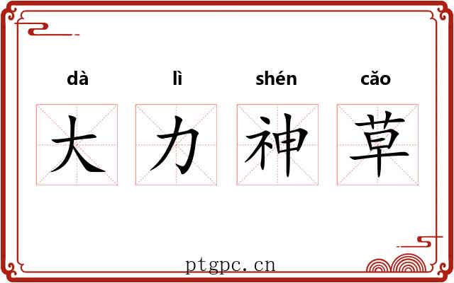 大力神草 大力神草