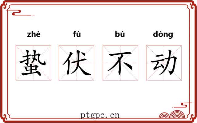 蛰伏不动 蛰伏不动