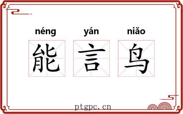 能言鸟 能言鸟