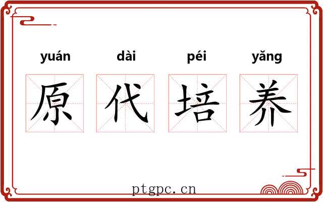 原代培养 原代培养