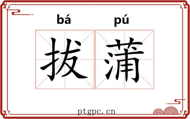 拔蒲 拔蒲
