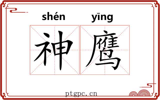 神鹰 神鹰