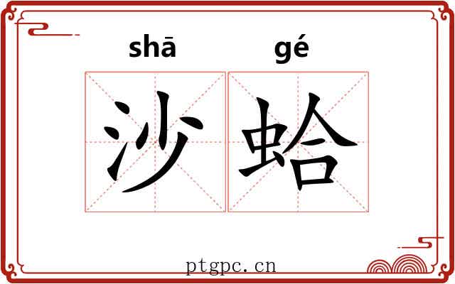 沙蛤