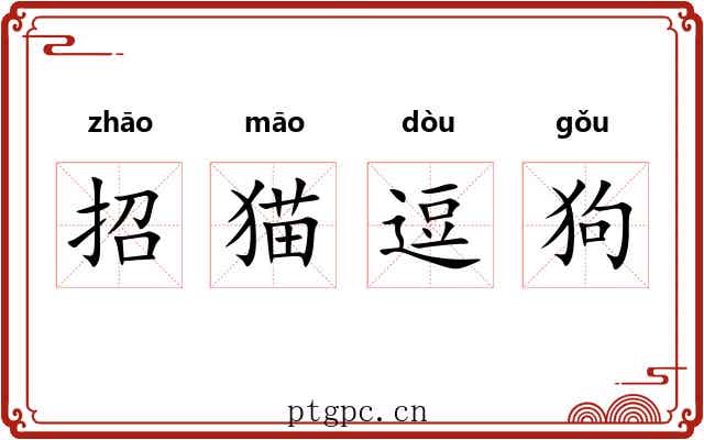 招猫逗狗 招猫逗狗