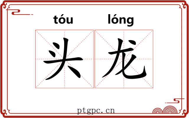 头龙 头龙
