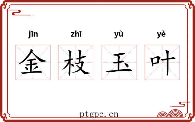 金枝玉叶 金枝玉叶