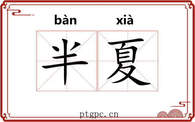 半夏 半夏